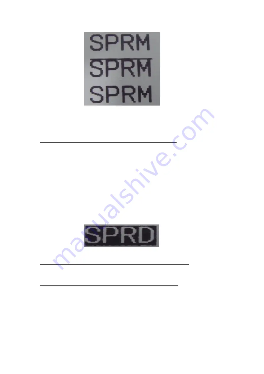 SPRT SP-RMD8 Скачать руководство пользователя страница 26