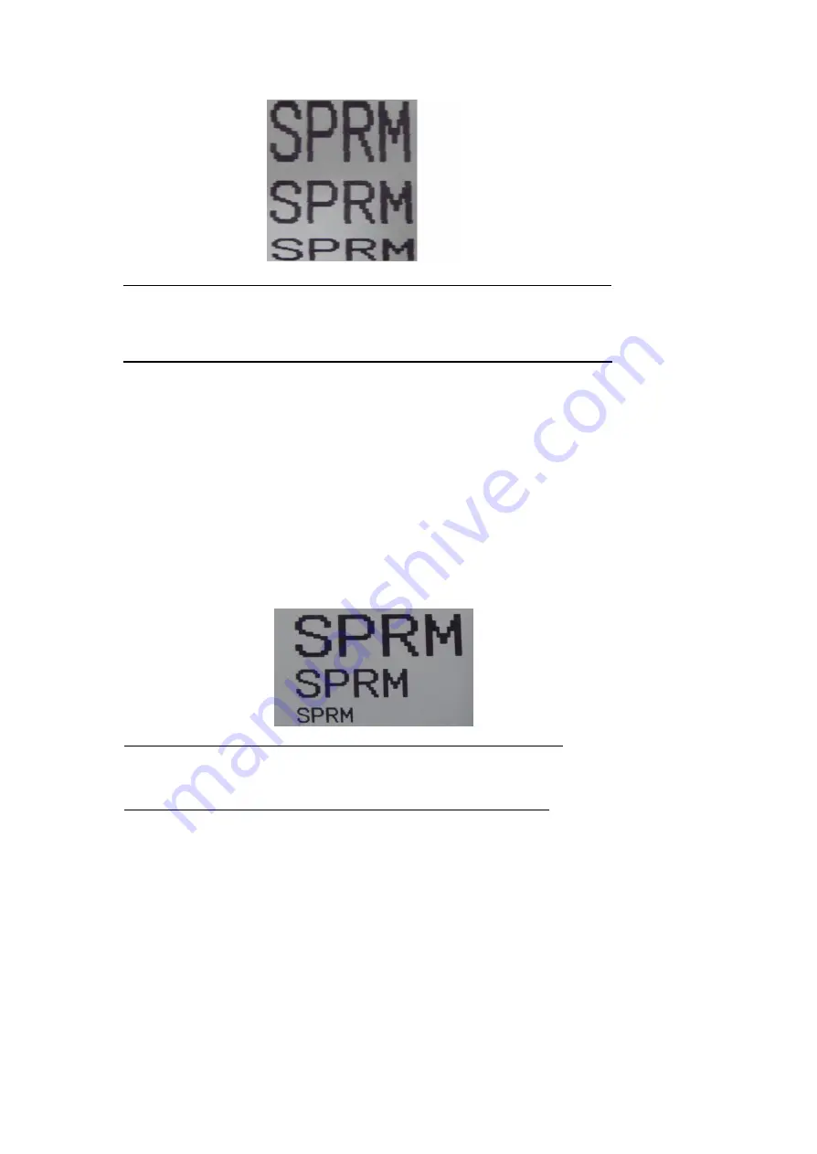 SPRT SP-RMD8D User Manual Download Page 21