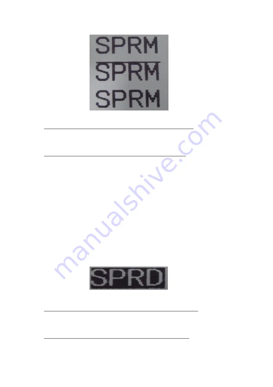 SPRT SP-RMDIIID Скачать руководство пользователя страница 29