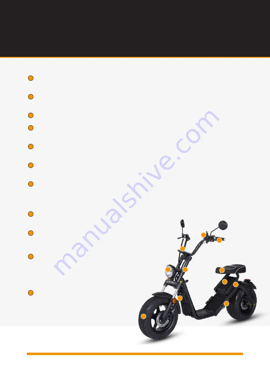 Spyder Wheelz E-CHOPPER User Manual Download Page 6