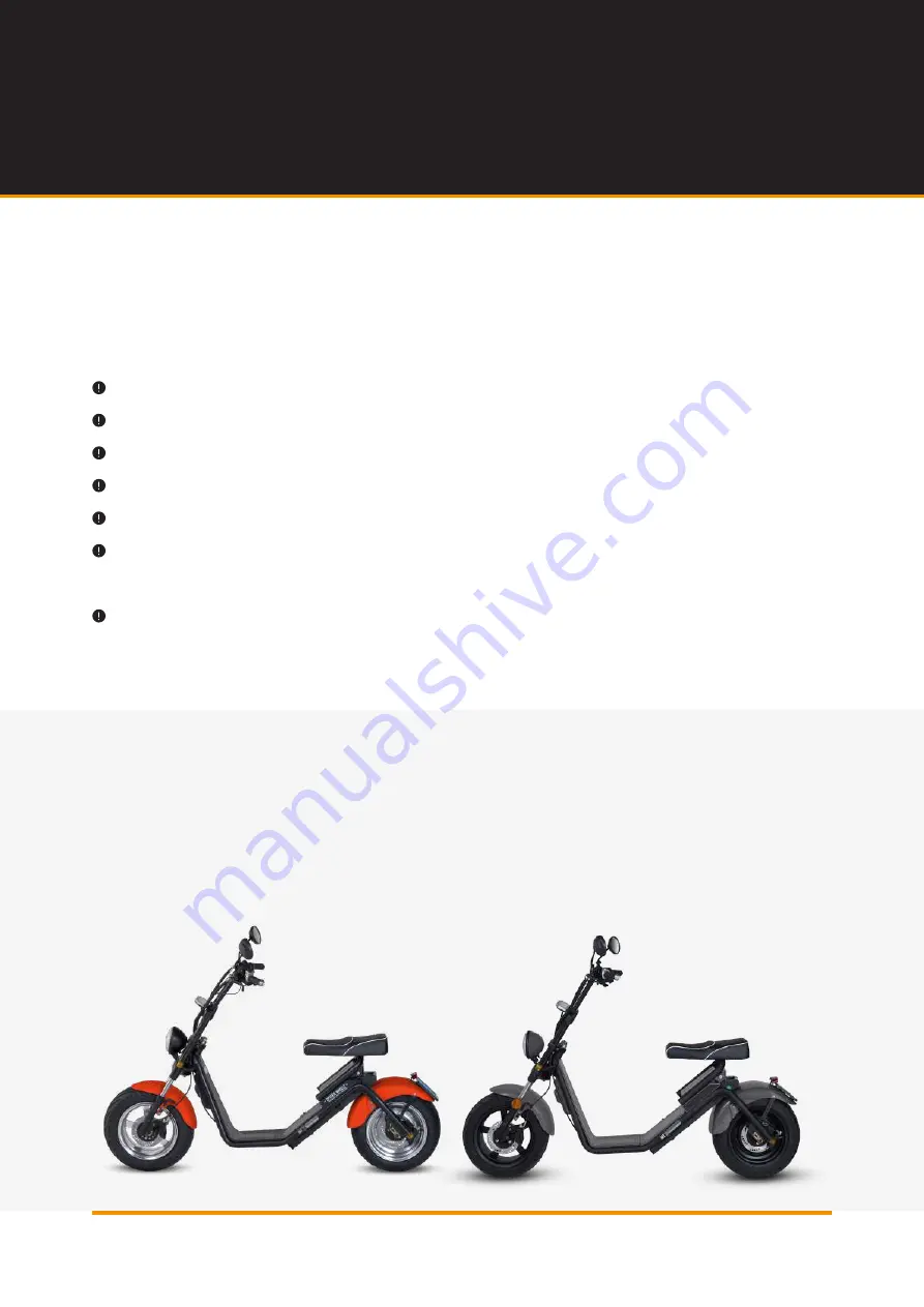 Spyder Wheelz E-CHOPPER User Manual Download Page 10