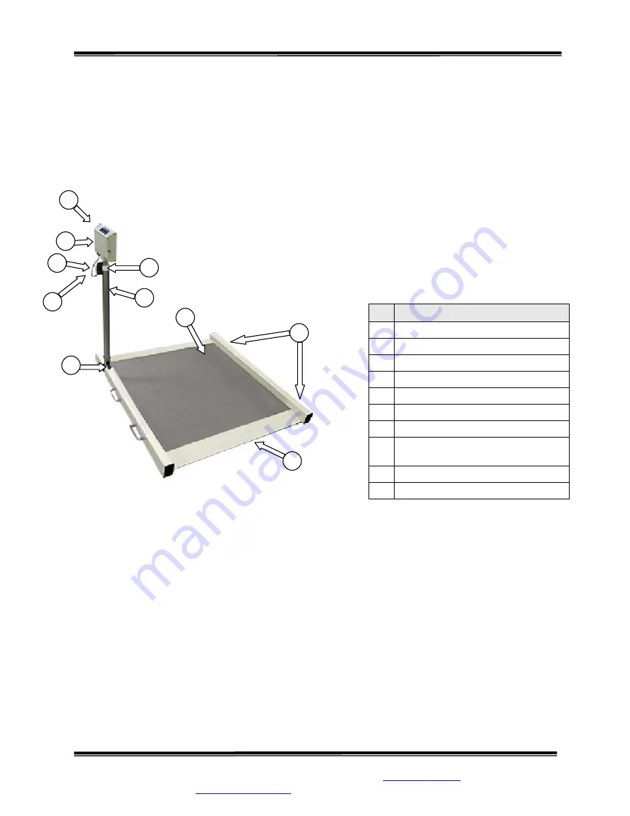 SR Instruments SR Scales SR725i Скачать руководство пользователя страница 5