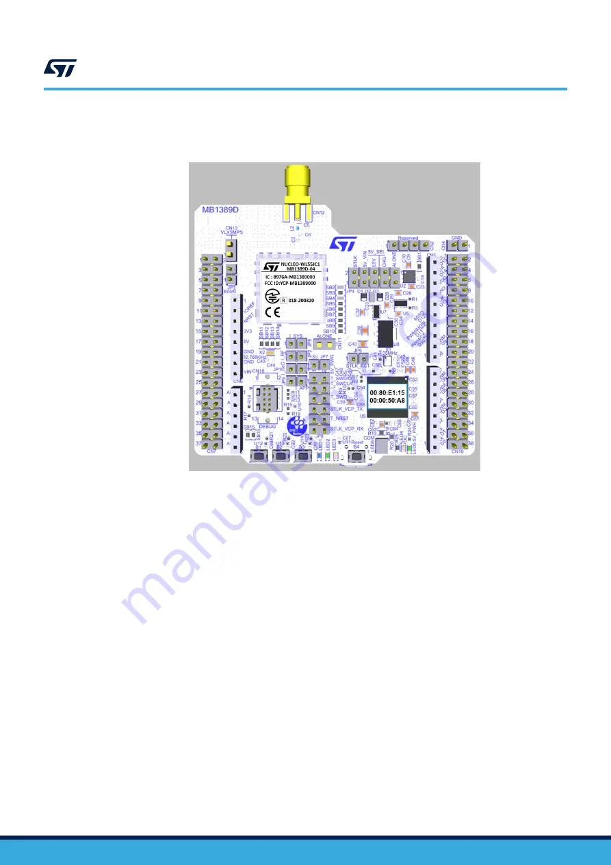 ST NUCLEO-WL55JC STM32WL Скачать руководство пользователя страница 10