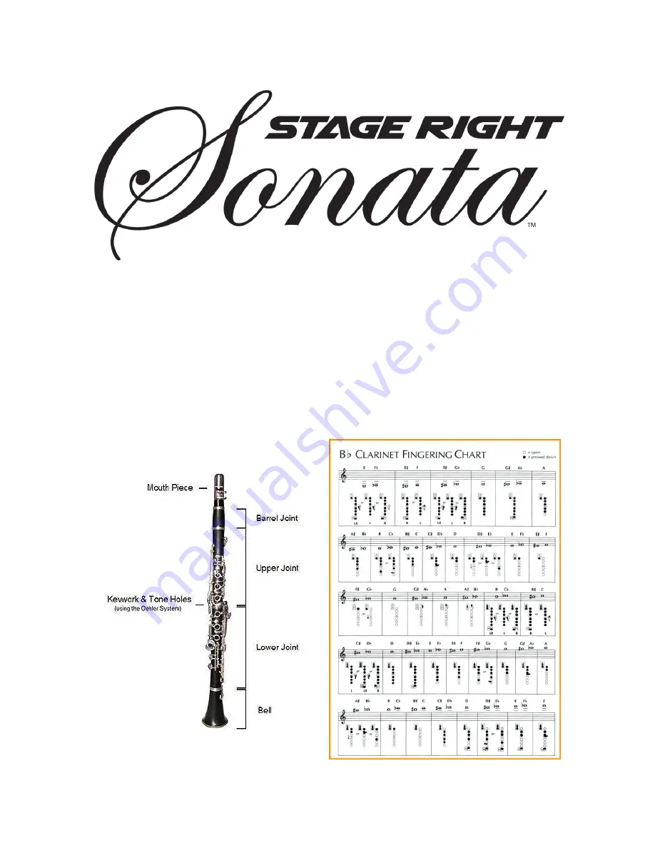 Stage Right Sonata 609350 Quick User Manual Download Page 1