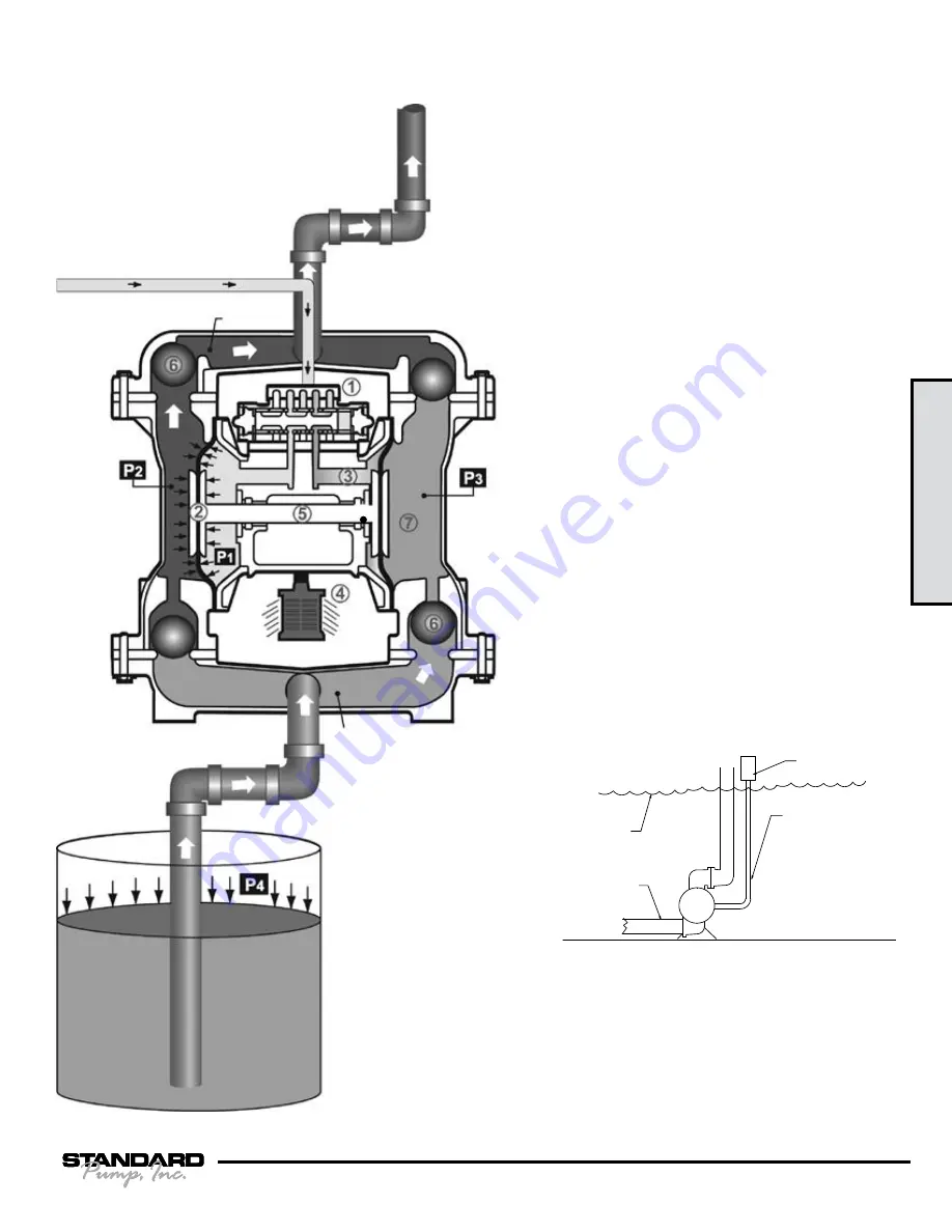 Standard Pump SPFP05 Service & Operating Manual Download Page 7