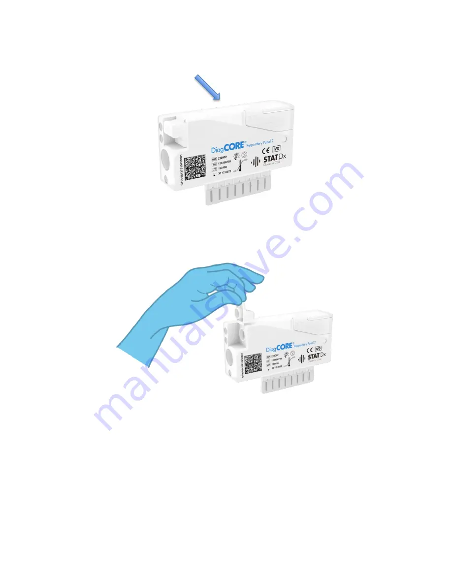 STAT-Dx DiagCORE Respiratory Panel 2 Instructions For Use Manual Download Page 17