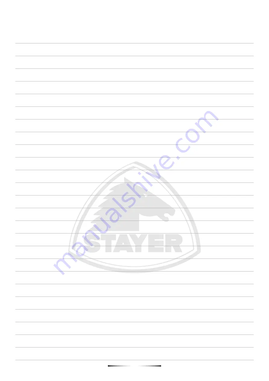 stayer CPT3000E Operating Instructions Manual Download Page 58