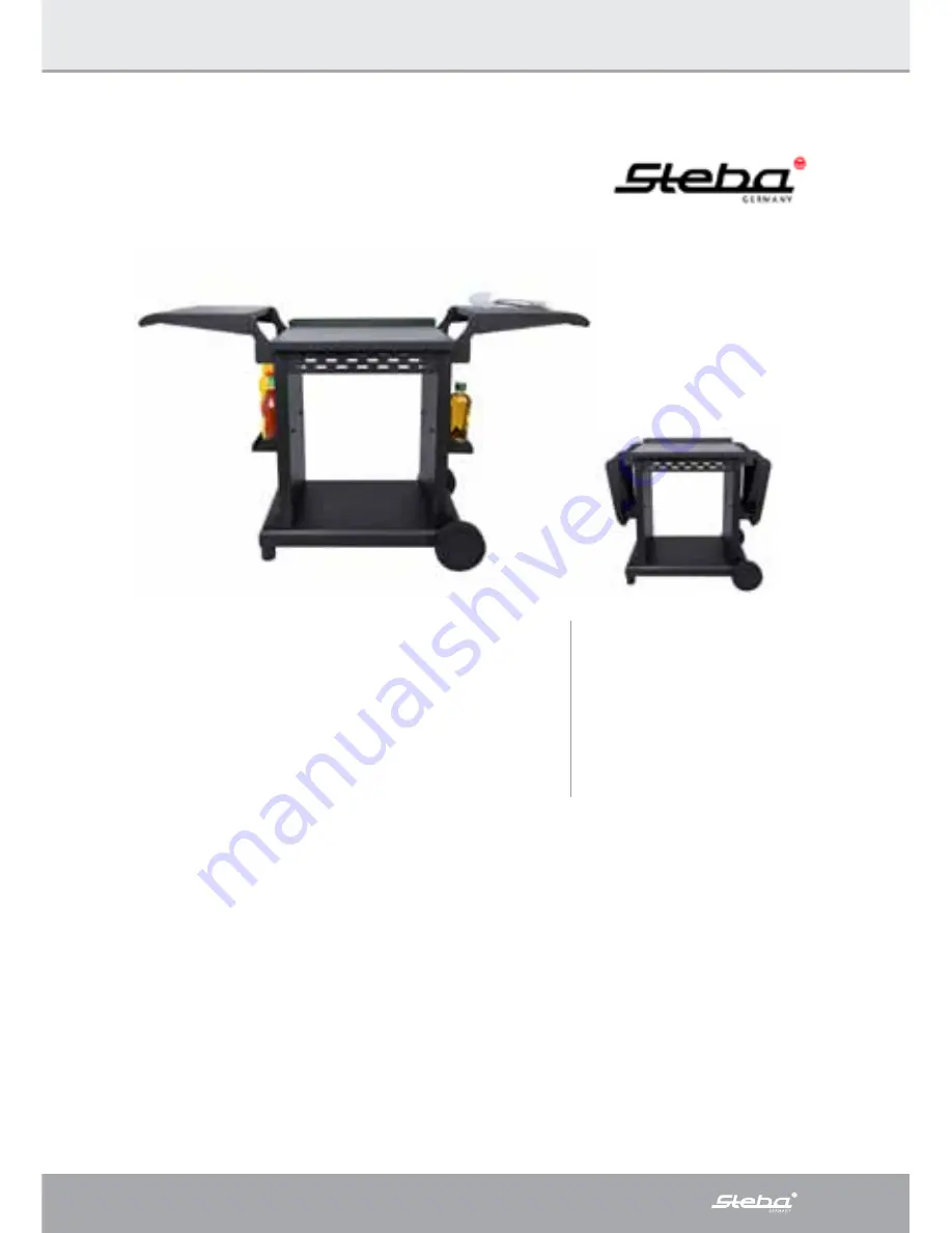 Steba VG 500 Instructions For Use Manual Download Page 65