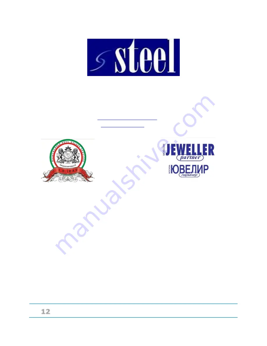 steel 8467.89.00.90.00 User Manual Download Page 13