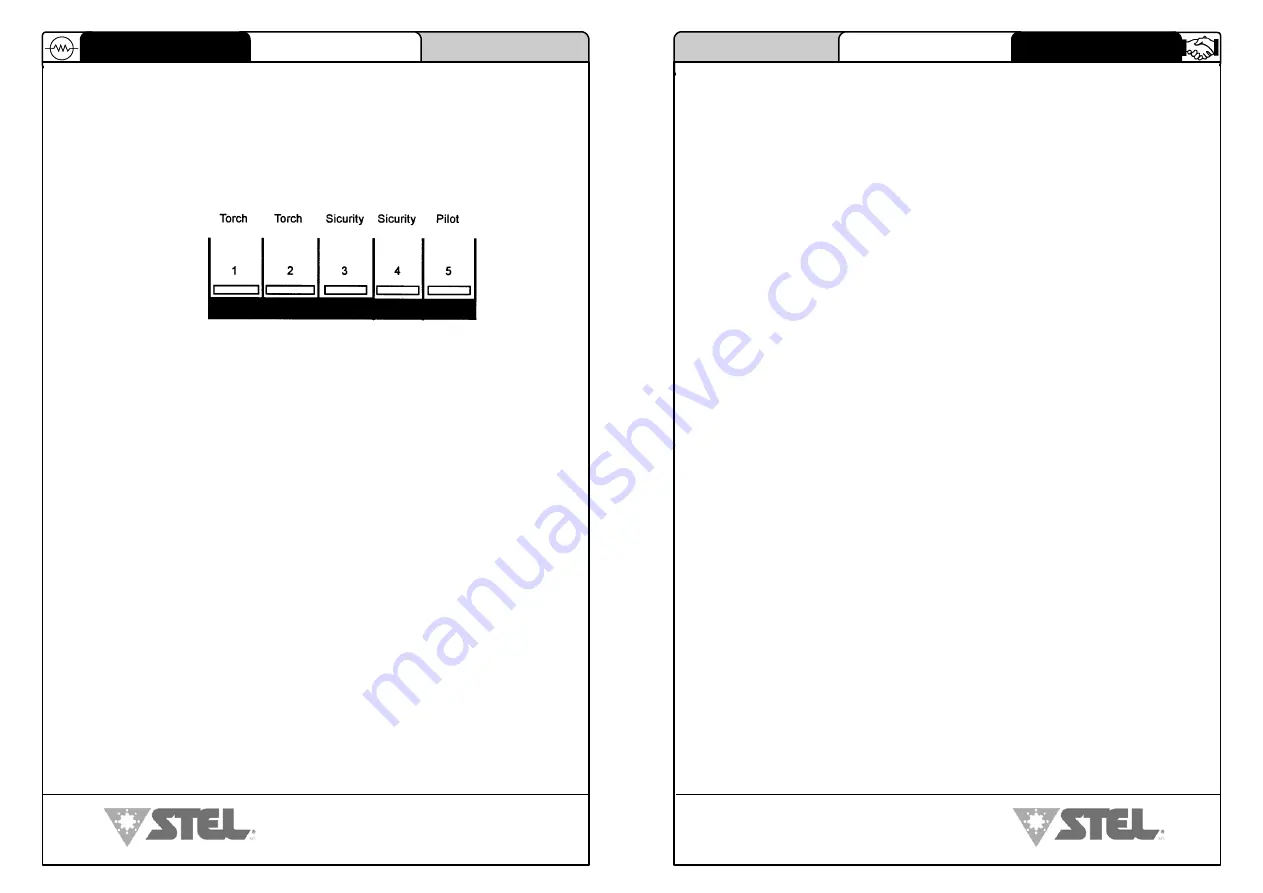 Stel THOR 40H Instructions For Use And Maintenance Manual Download Page 38