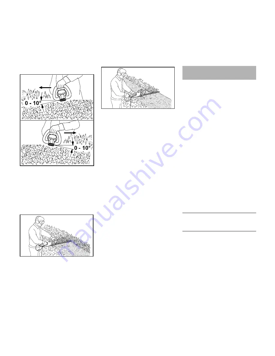 Stihl HSE 61 Instruction Manual Download Page 10