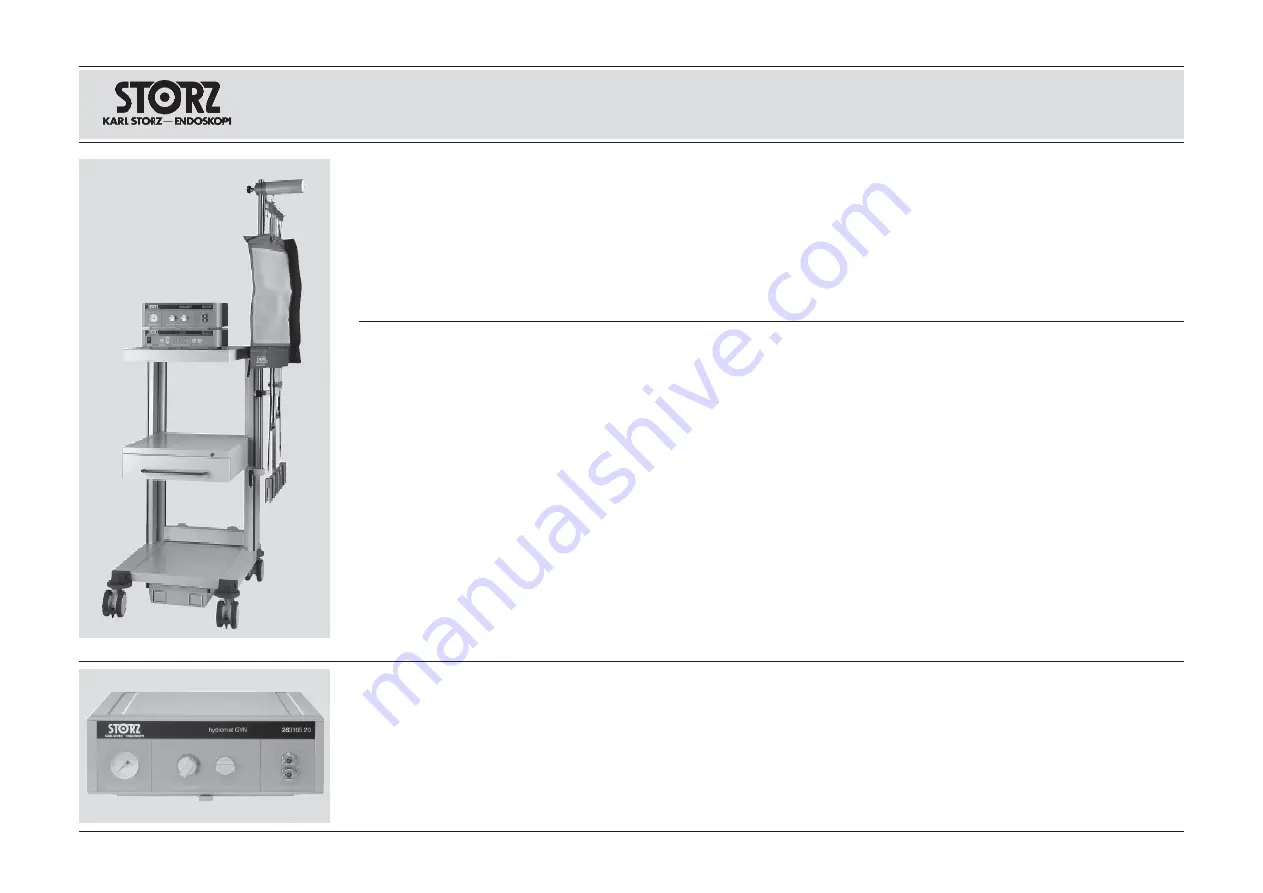 Storz 26310520 Скачать руководство пользователя страница 17