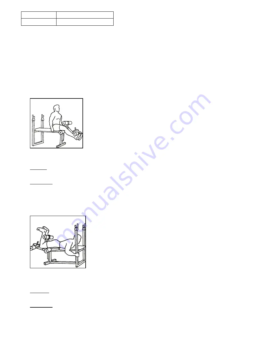 Striale SB2015 Assembly Instructions Manual Download Page 15