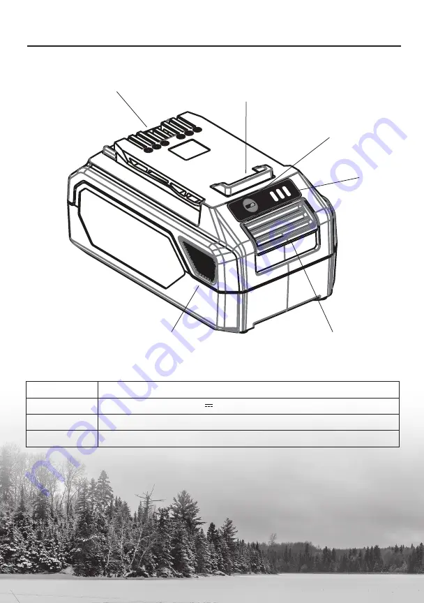 STRIKEMASTER Lithium 24V Скачать руководство пользователя страница 6