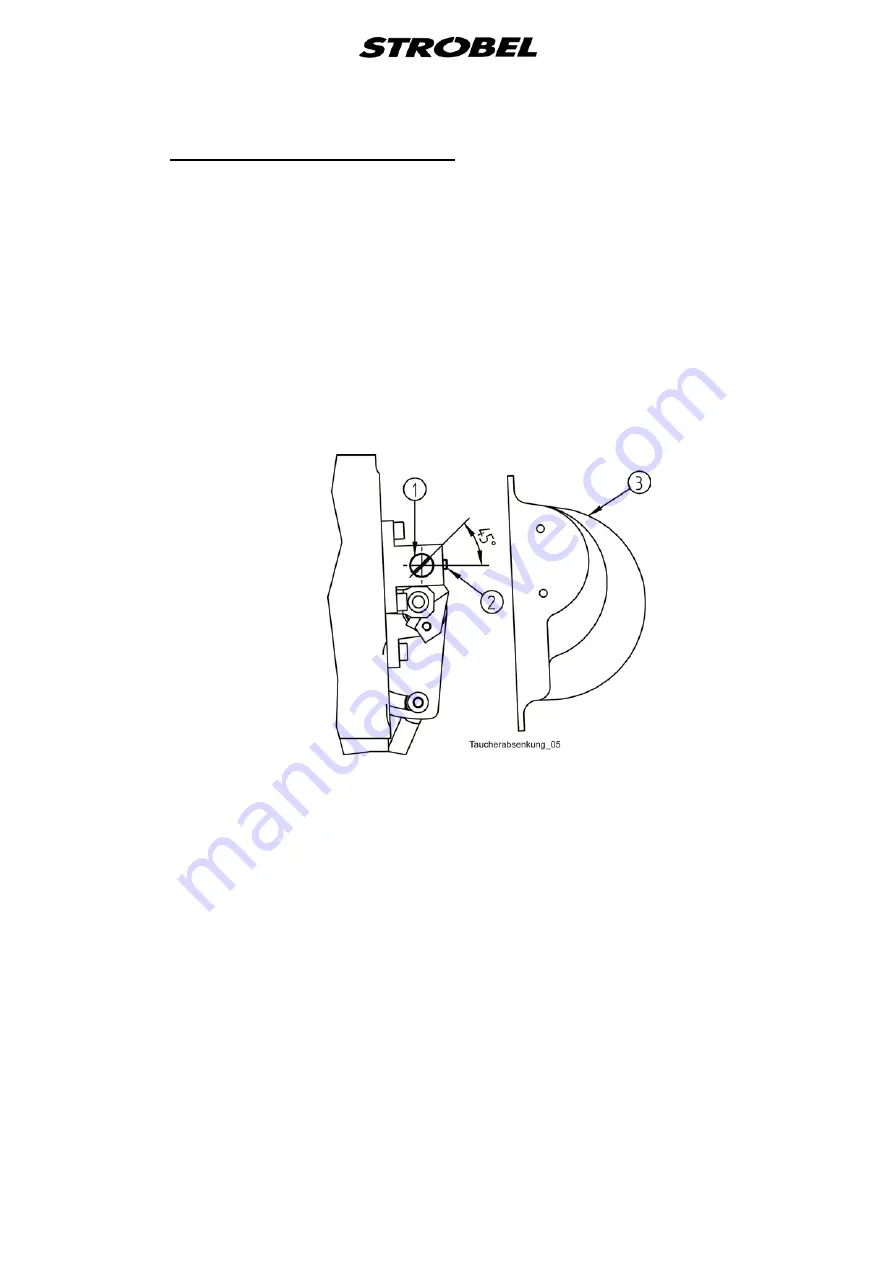 Strobel 325-40D-TP Скачать руководство пользователя страница 21