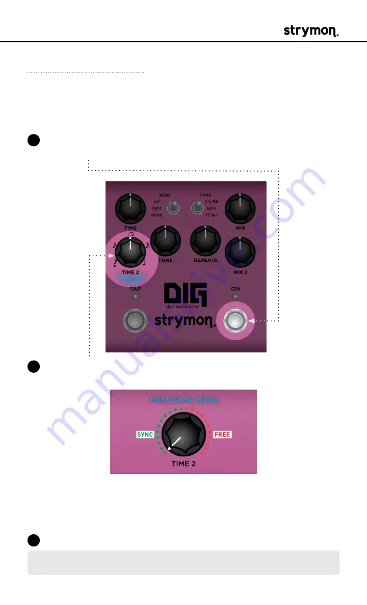 Strymon DIG User Manual Download Page 12