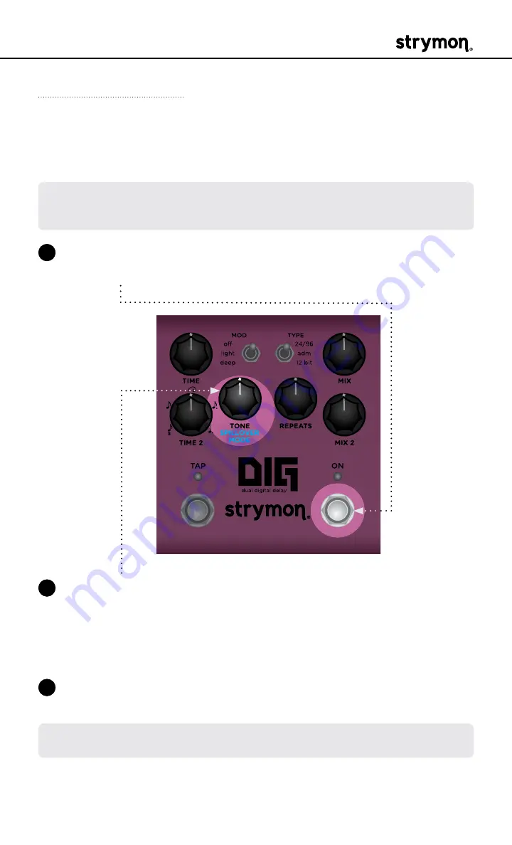 Strymon DIG User Manual Download Page 19