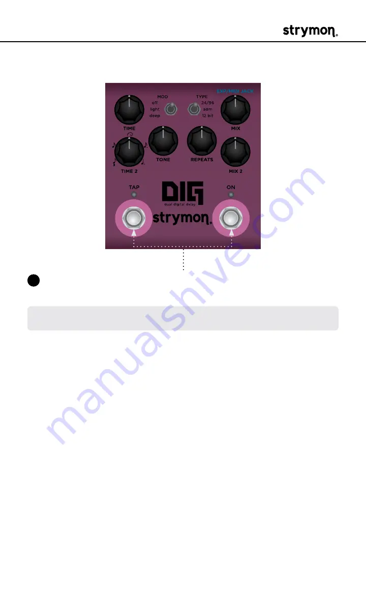 Strymon DIG User Manual Download Page 21