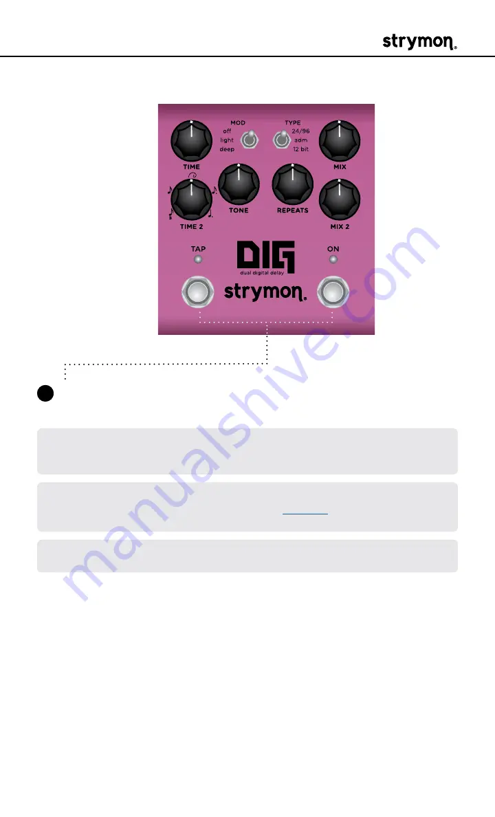 Strymon DIG User Manual Download Page 31