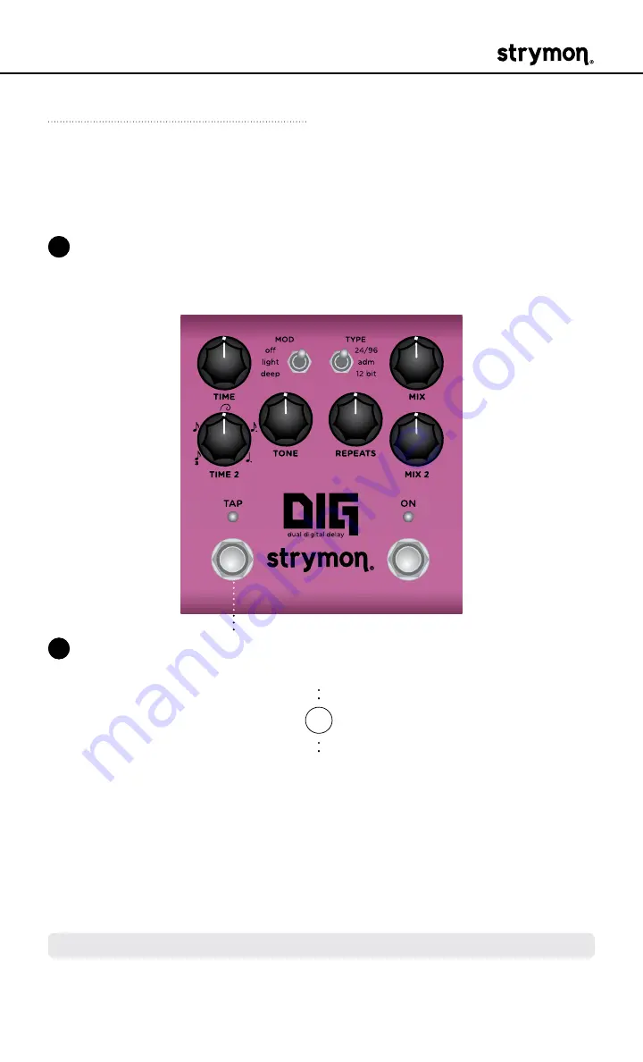 Strymon DIG User Manual Download Page 33