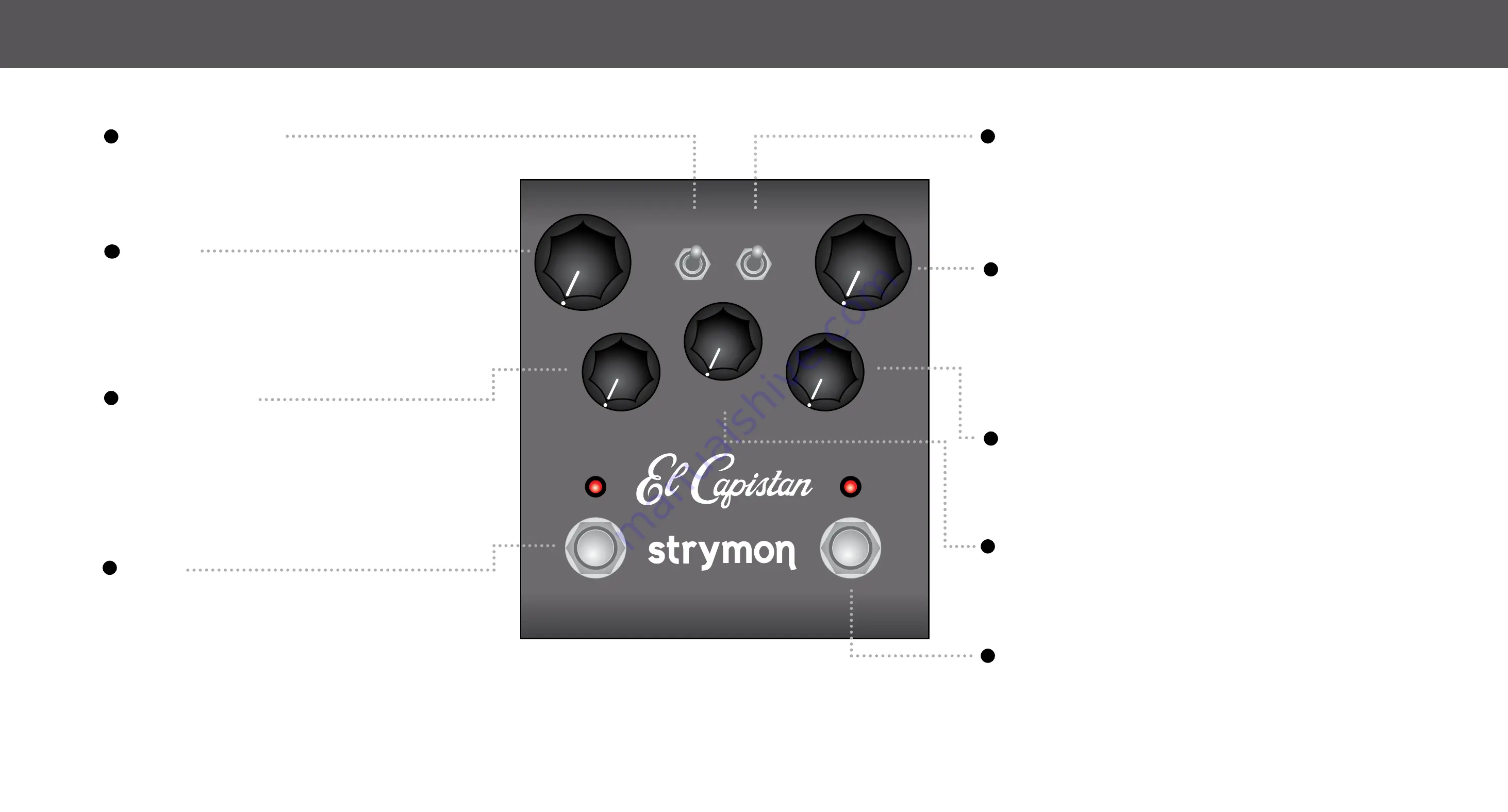 Strymon El Capistan dTape Echo Скачать руководство пользователя страница 2