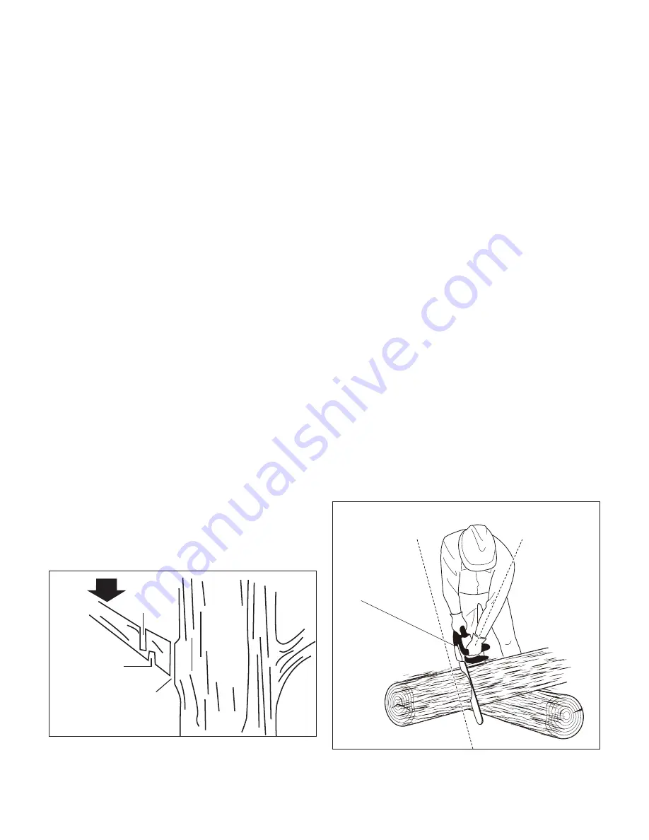 Sun joe SWJ807E Operator'S Manual Download Page 13