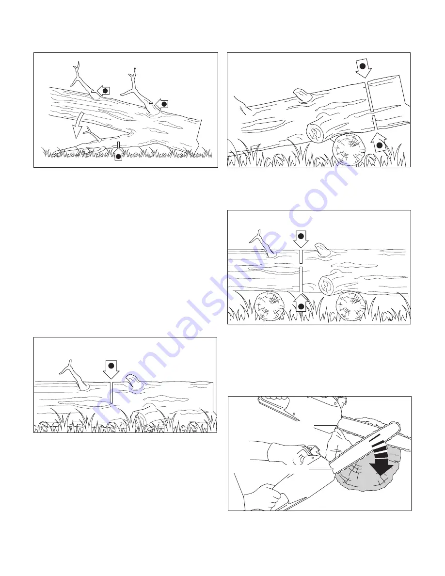 Sun joe SWJ807E Operator'S Manual Download Page 15