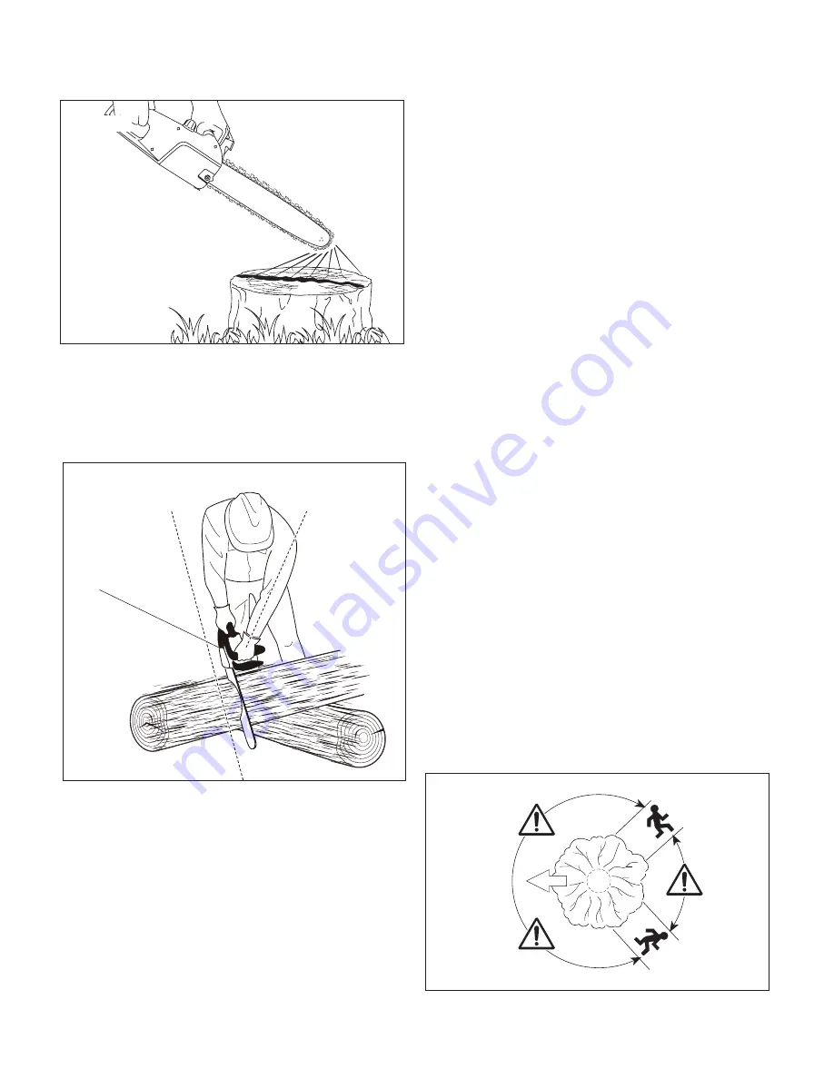 sunjoe 24V-X2-CS16-RM Operator'S Manual Download Page 14