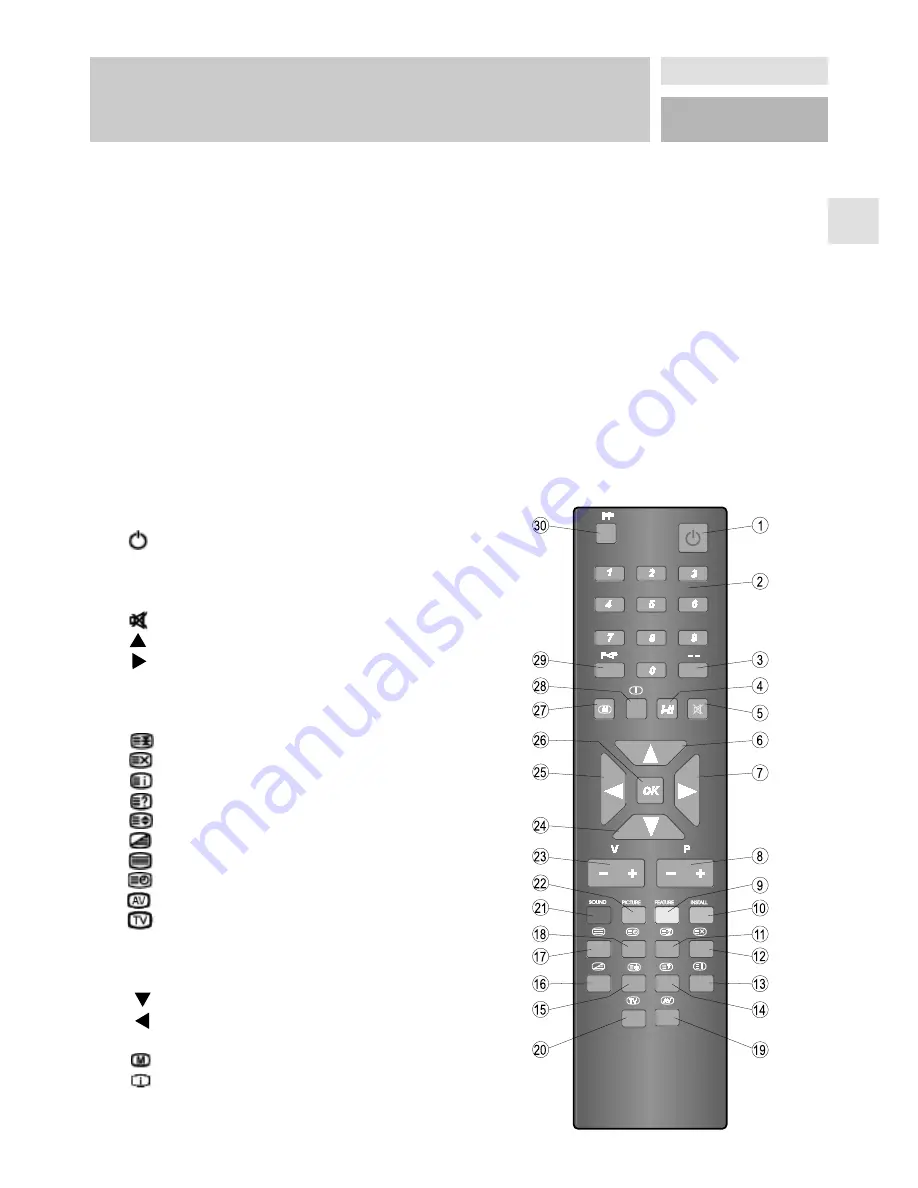 Superior SP 7029/2 Скачать руководство пользователя страница 7