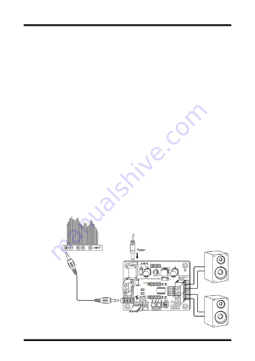 Sure Electronics PAM8803 User Manual Download Page 6