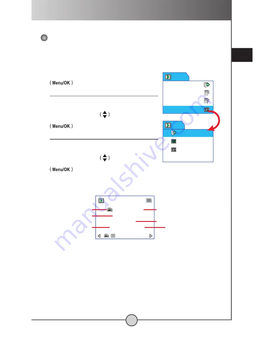 SVP DV-8530 User Manual Download Page 30