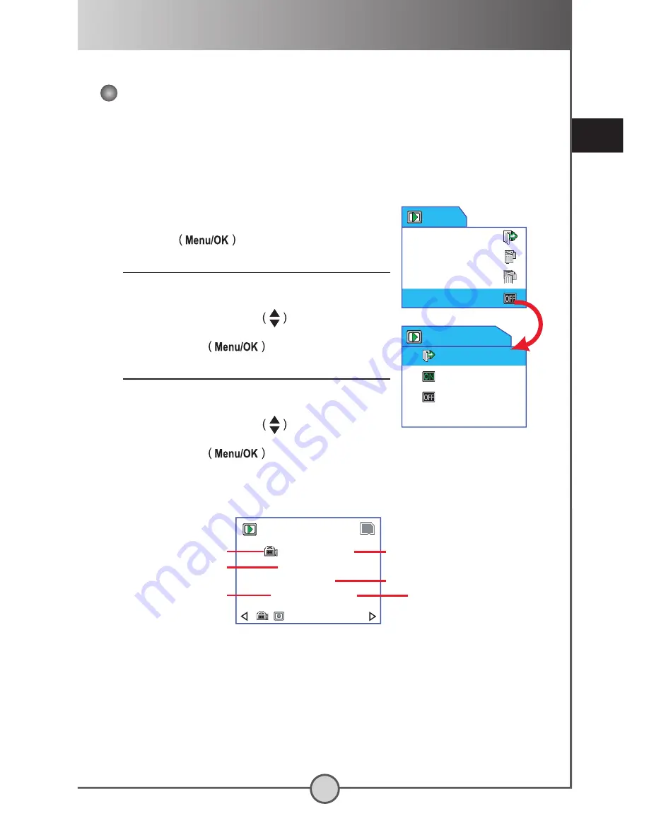 SVP DV-8530 User Manual Download Page 198