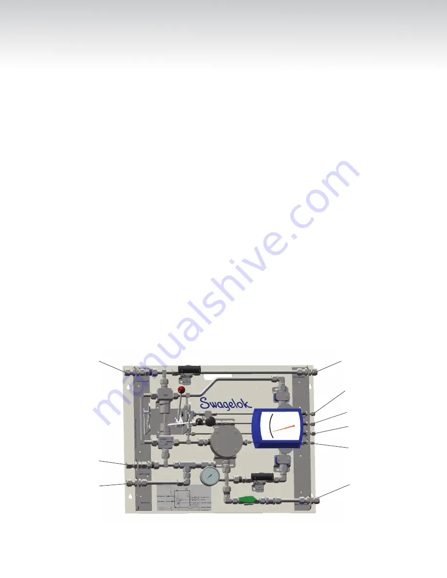 Swagelok Fast Loop Module Скачать руководство пользователя страница 12