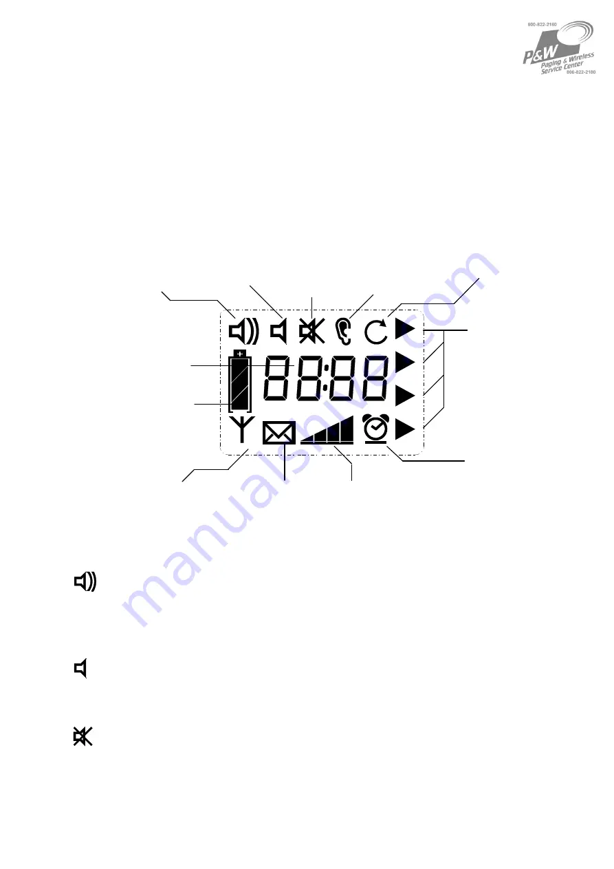 SwissPhone Analog Pager Скачать руководство пользователя страница 5