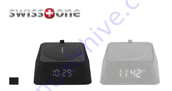 Swisstone Q-BOX Скачать руководство пользователя страница 1