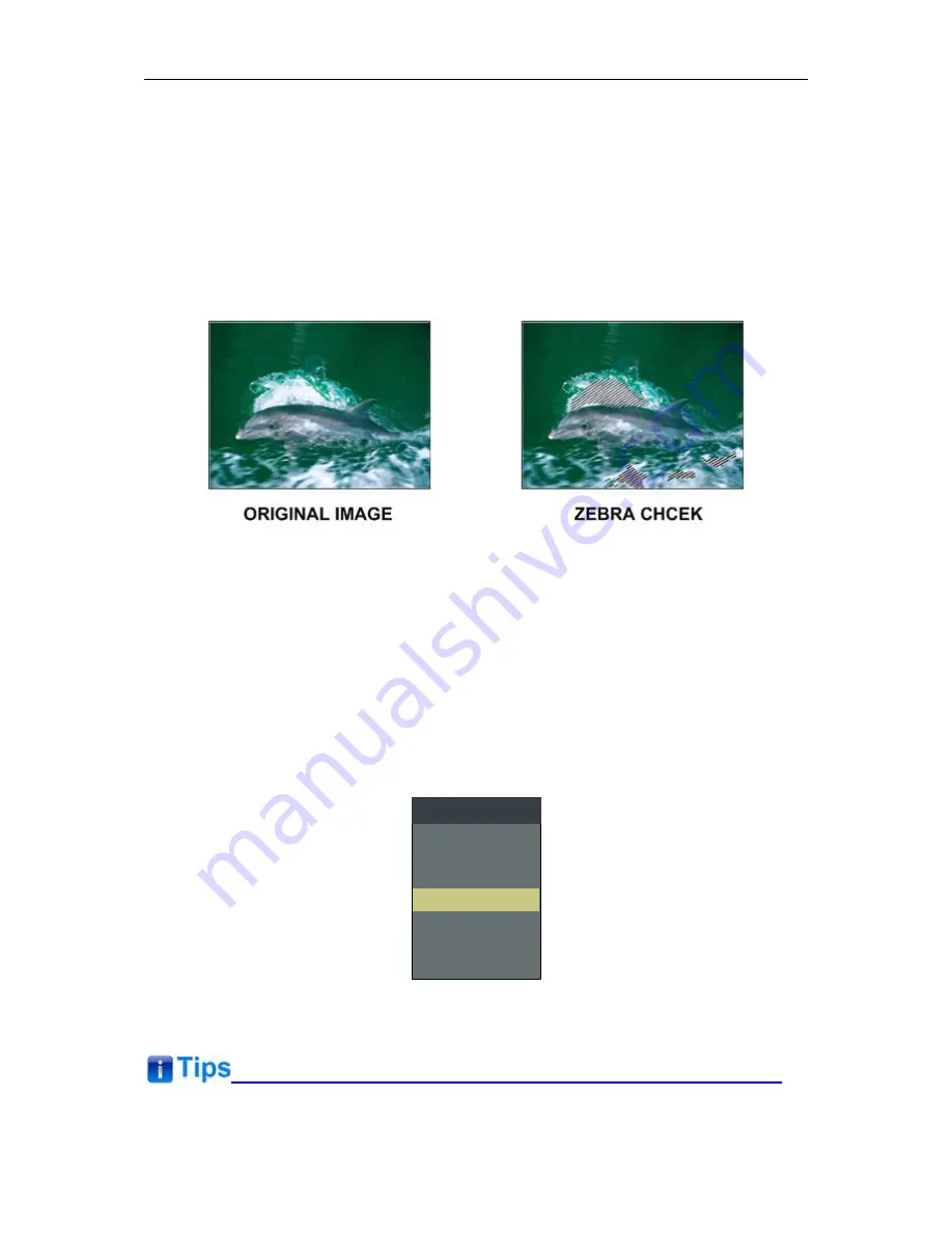 SWIT Electronics FM-24DCI User Manual Download Page 21