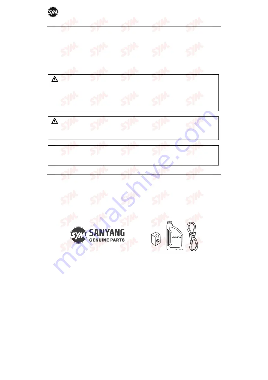 Sym CRUiSYM 250i Owner'S Manual Download Page 6