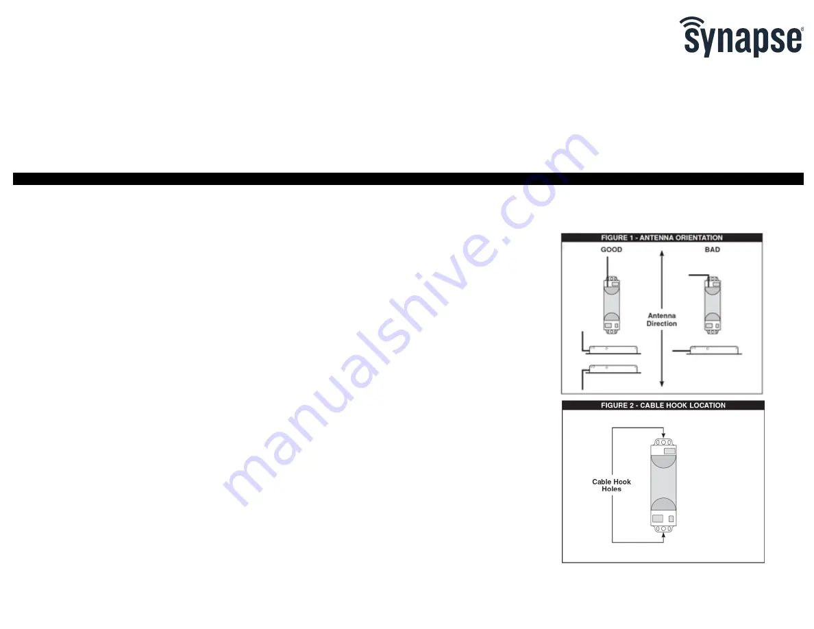 Synapse DIM10-250-11 Скачать руководство пользователя страница 1