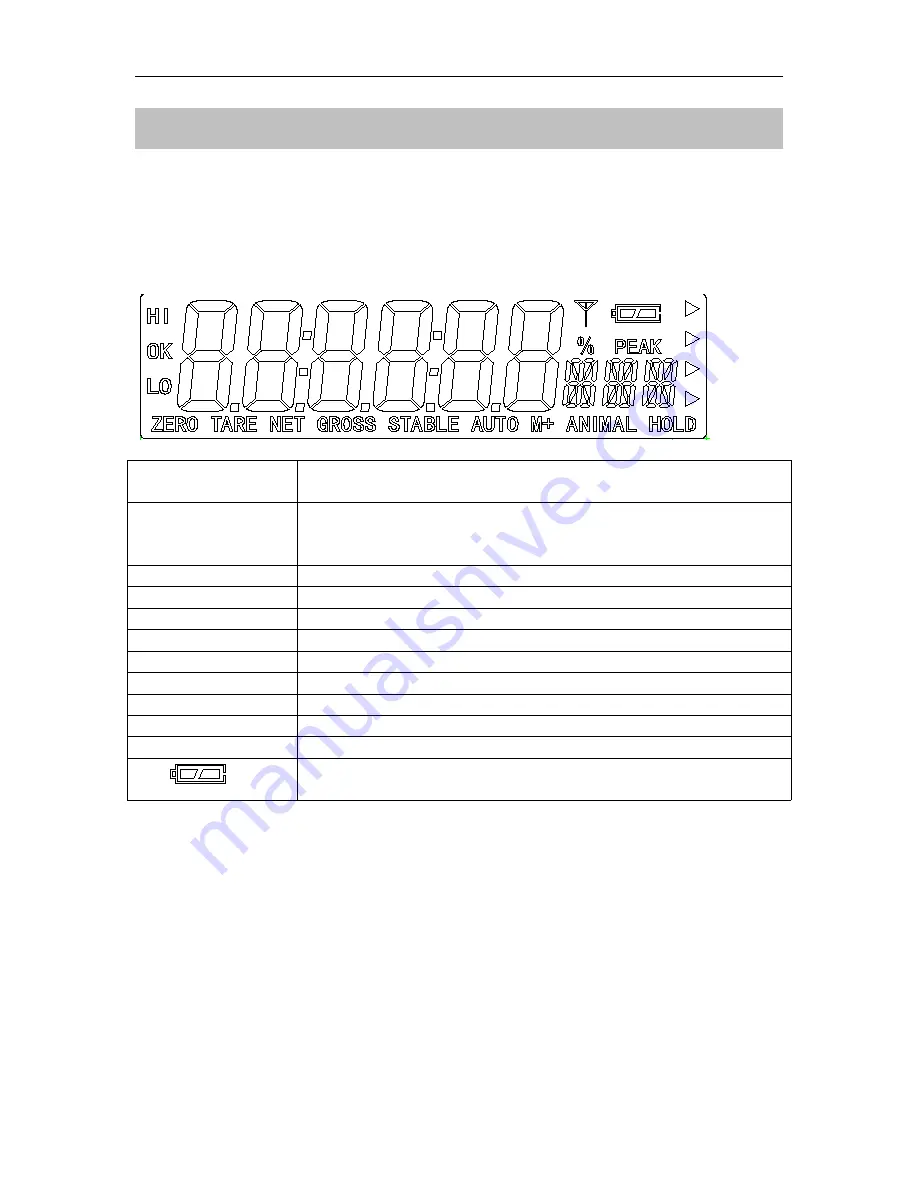 T Scale ROW Precision Balance Series Technical Manual Download Page 8