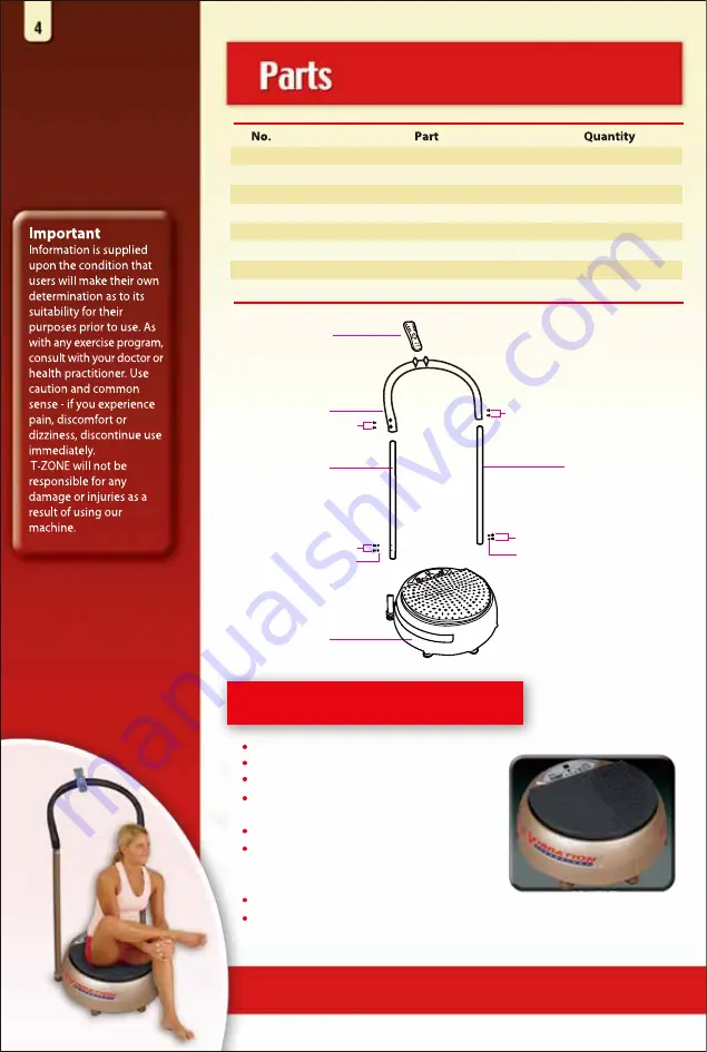 T-Zone VT-8 User Manual Download Page 6