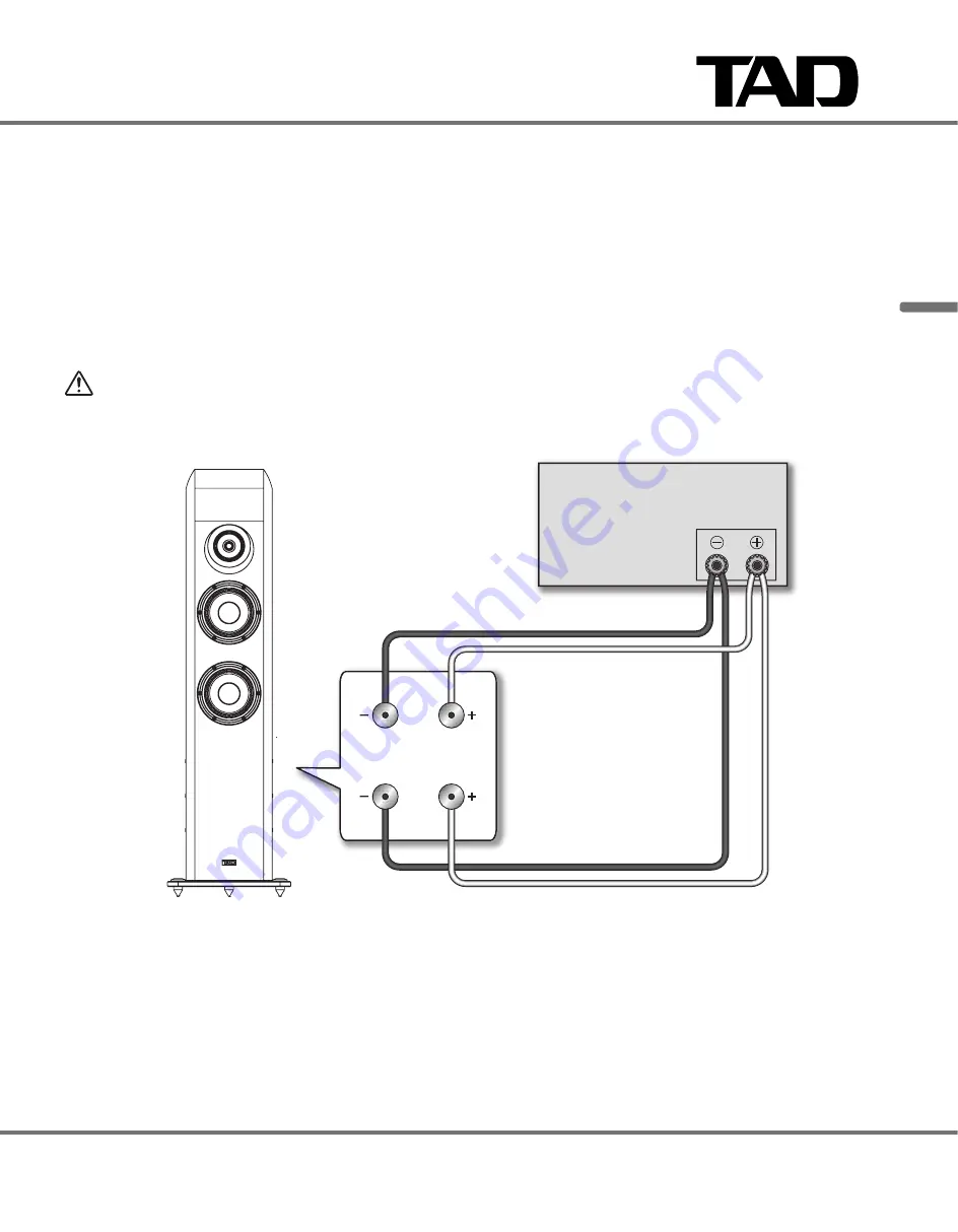 TAD Evolution One TAD-E1TX Owner'S Manual Download Page 21