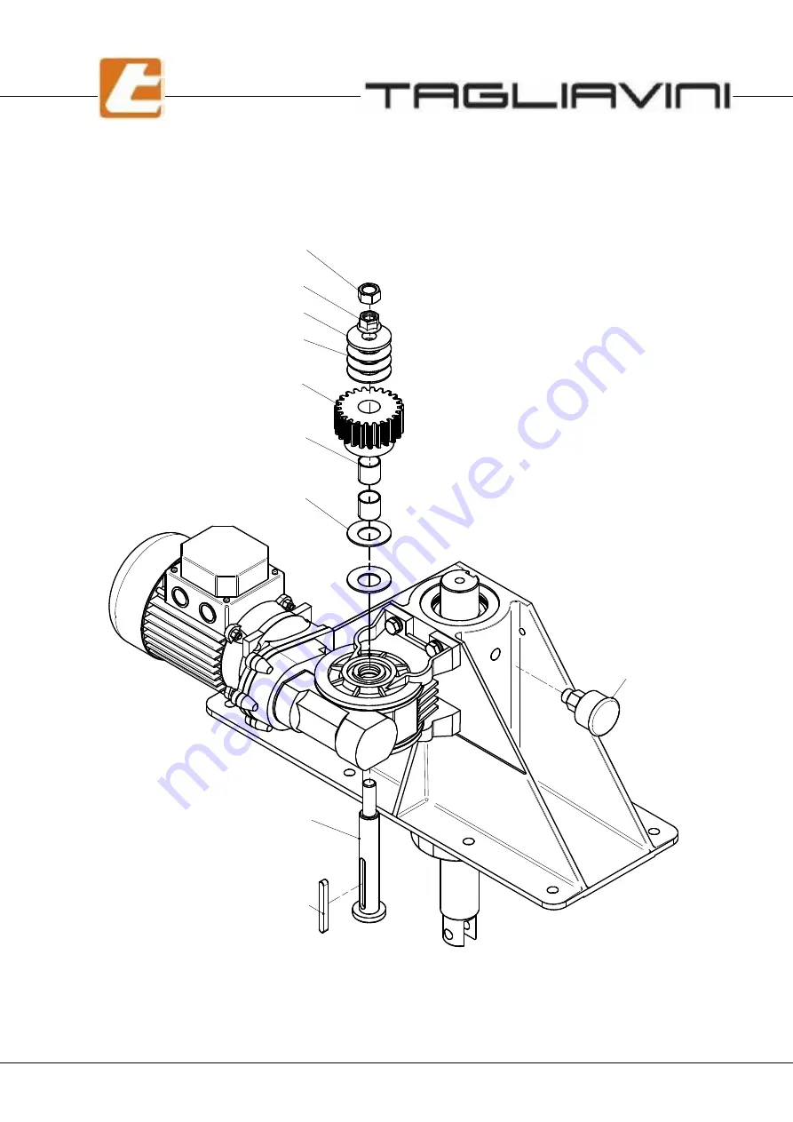 TAGLIAVINI ROTOR RT 68 Скачать руководство пользователя страница 61