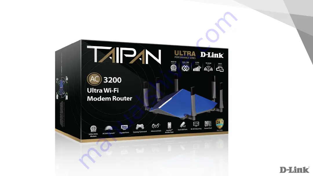 TAIPAN DSL-4320L Скачать руководство пользователя страница 14