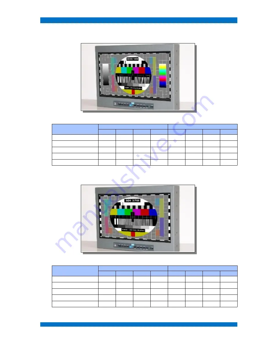 TAMUZ LSM 124W Operation Manual Download Page 101