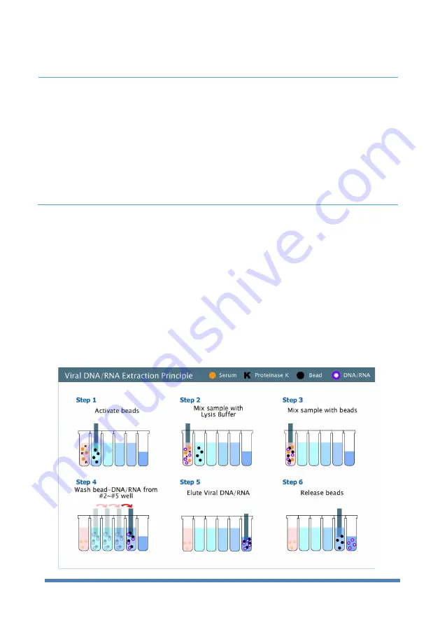 TAN Bead Smart LabAssist Series Скачать руководство пользователя страница 8