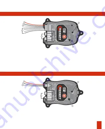 Taramps Electronics TW MASTER Instruction Manual Download Page 13