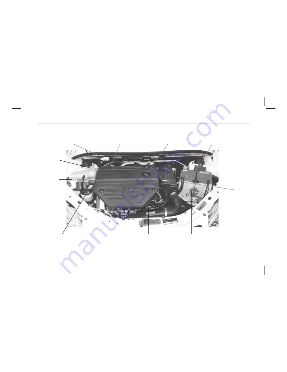 TATA Motors Tata Indica V2 XETA LPG Скачать руководство пользователя страница 74