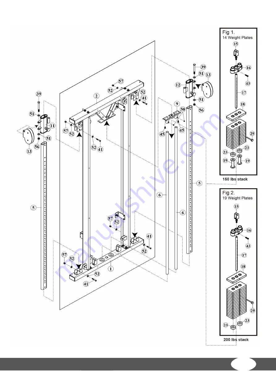 Taurus DESIGN LINE DUAL PULLEY Assembly Instructions Manual Download Page 15