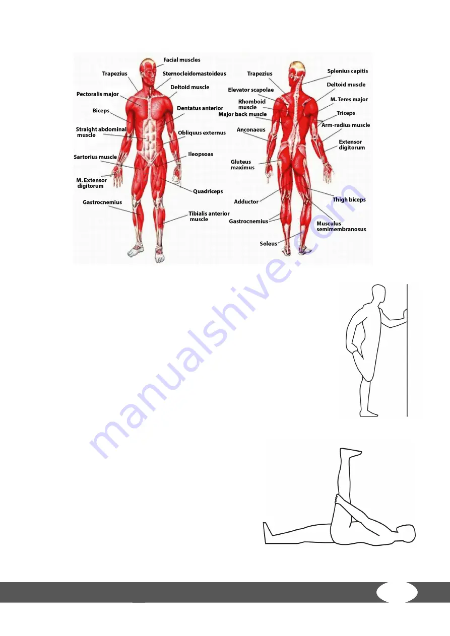 Taurus TF-UF Assembly And Operating Instructions Manual Download Page 37