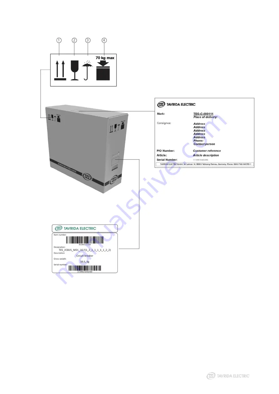 TAVRIDA ELECTRIC VCB Series Скачать руководство пользователя страница 21